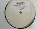 Ely Guerra - Amores Perros - The Renegade Soundwave Loudream Remixes 12