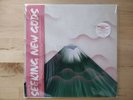 GRUFF RHYS Seeking New Gods DINKED Ltd Ed Splatter Vinyl + Flexi + Signed Print
