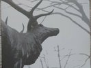 Agalloch – The Mantle 2x LP Clear (Grau)- Alcest- Wolves in the Throne Room- Fen