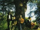 Mother Earth - The People Tree (Vinyl)