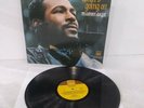 MARVIN GAYE 