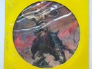 Molly Hatchet LP Beatin’ The Odds Picture Disc PROMO
