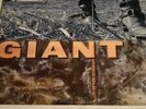 GIANT Last Of The Runaways PROMO w/ hype.1st Pressing 1989 A&M Original All VG++