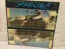 WIDESPREAD PANIC SPACE WRANGLER LP 1988 SEALED FIRST PRESS LANDSLIDE RECORDS WSP