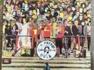 A HISTORY OF PUNK - Burning Ambitions. Double lp vinyl. 38 tracks.