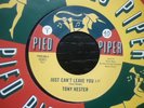 freddie butler give me lots/tony hestor i cant  p/piper 004 uk 45 northern soul