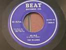 THE HI-LARKS - SUPER RARE DOO WOP R & B 45 on BEAT Mine / Take a Hike 0050 HEAR