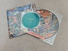BLACK MIDI Cavalcade Pic Disc LP + Black Vinyl LP w/Flexi disc Taylor Swift NEW