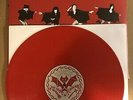 LP:  THE DARTS - I Like You But Not Like That RED VINYL NEW UNPLAYED + download