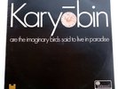 The Spontaneous Music Ensemble - Karyobin - 1968 Island ILPS 9079 - Free Jazz LP