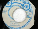 DENNIS BROWN 45 Tribulation OBSERVER 1973 Jamaica Reggae VG+   #1770