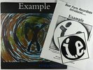 Example - Impulses EP - Beat Farm Recordings - Rare Indie Rap SEALED MP3