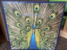 The Bluetones Expecting To Fly Vinyl 3RANGE-51LP Near Mint Condition Record