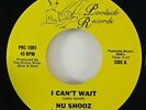 Nu Shooz 