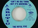 Royal Five 