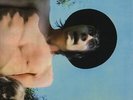 Fleetwood Mac - Mr. Wonderful (LP) - Vinyl Blues