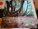 Fat Mattress LP Same UK Polydor 1st Press INCREDIBLE AUDIO & BEST COVER IVE SEEN