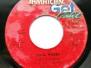 Al & The Vibrators - Cool Water - Reggae Rocksteady 45 - Gay Feet JA