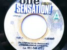 The Rulers - Why Don't You Change / Wrong Emboyo  - Rocksteady Reggae - Rio JJs