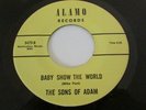 THE SONS OF ADAM ULTRA  RARE GARAGE PSYCH 45 ON ALAMO LABEL FEATHERED FISH MINT-
