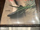 ICEAGE Plowing Into The Field Of Love 2x LP Vinyl SEALED-spirit of the beehive