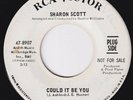 SHARON SCOTT Could It Be You  stunning NORTHERN SOUL 45 Id Like To Know
