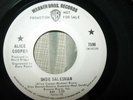 Alice Cooper - Shoe Salesman / Return Of The Spiders 45 WB 7398 Promo 1970