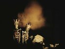 Pearl Jam - Riot Act Vinyl
