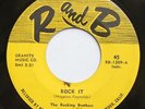 The Rocking Brothers R and B R&B Surf 45rpm 45 1954 