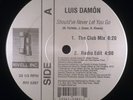 Luis Damon - Should've Never Let You Go 12