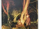 ECHO AND THE BUNNYMEN Crocodiles LP 1980 post-punk 1st pressing VG+++++++
