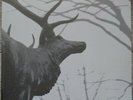 Agalloch – The Mantle 2x LP Clear (Grau)- Alcest- Wolves in the Throne Room- Fen