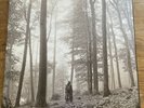 Taylor Swift - Folklore Deluxe Coloured Double Vinyl 2LP “In The Trees” Edition