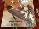 2019 GREAT WHITE 