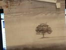 Genesis Wind and Wuthering lp SD 36-144 Atlantic 1976 Still in cellophane