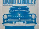 DAVID LINDLEY Mercury Blues 1981 US PROMO Only 12