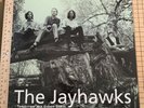 JAYHAWKS TOMORROW THE GREEN GRASS SUPER RARE OG VINYL LP 2011 NM AMERICAN