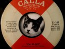 JOHNNY THUNDER I'm Alive 45 Calla 1969 Fuzz Psych Soul HEAR