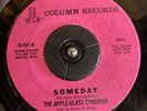 THE APPLE-GLASS CYNDROM 