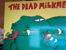 Dead Milkmen Big Lizard In My Backyard Vinyl Records 1985 Enigma punk rock