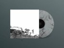 Timber Timbre - Hot Dreams / Vinyl LP limited edition on SMOKE