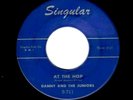 ROCK & ROLL CLASSIC-DANNY/JUNIORS-AT THE HOP (W/ COUNT DOWN INTRO)/SOMETIMES