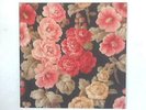 Blues Funeral 2xLP GATEFOLD (Mark Lanegan Band - 2012-02-06) CAD 3202 (ID:16233)