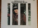 DAVID ALLAN COE Penitentiary Blues LP RARE 1969 Pressing SSS-9 VG/EX OUTLAW HTF