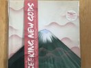 GRUFF RHYS Seeking New Gods DINKED Ltd Vinyl + Flexi + Signed Print Sealed New