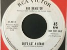 ROY HAMILTON: DEMO COPY 