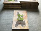 Author's Copy - On Earth As It Is In Hell Vol.2  Misfits Discography book 272 p