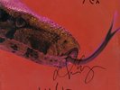ALICE COOPER Killer VINYL LP - Poison Trash I'm 18 School's Out Autograph SIGNED