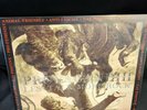 Propagandhi- Less Talk More Rock (Fat Record Store Edition) (Clear Brown Vinyl)