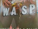 1985 W.A.S.P. Animal F**k Like A Beast, 12” Vinyl Restless Records Near Mint